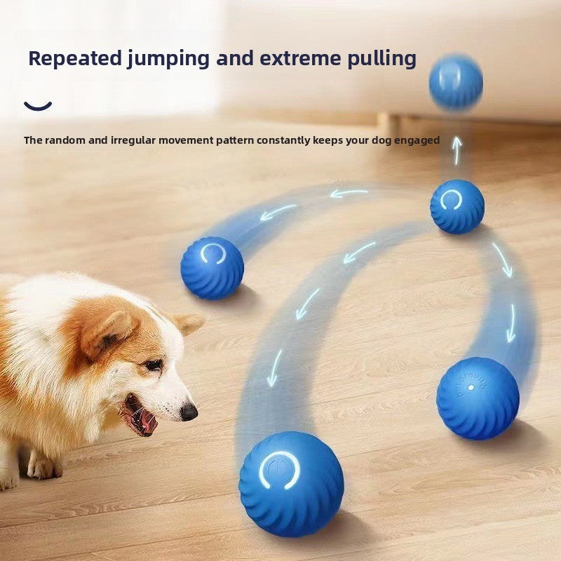 Electric Smart Pet Ball