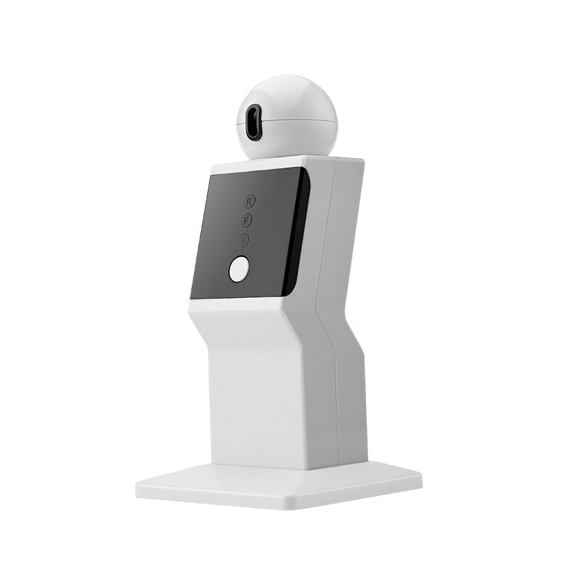 Automatic Pet Laser Toy