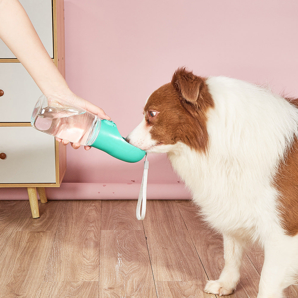 Pet portable water cup